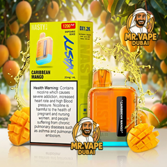 Buy Nasty Bar DX1.2K 1200 Puffs Vape (20mg) | Mr Vape Dubai