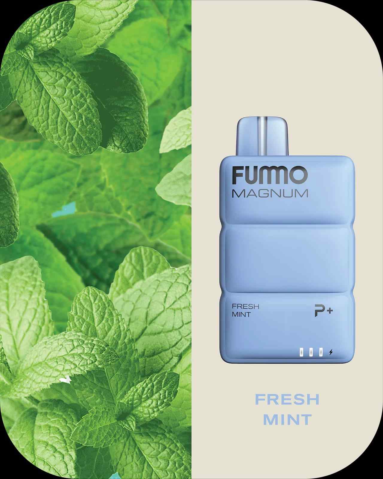 FUMMO Magnum 8000 Puffs | Premium Vape in Dubai | Fast Delivery UAE
