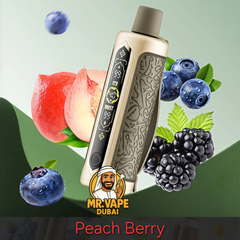 OXBAR Shisha 60000 Puffs DTL 6MG Vape