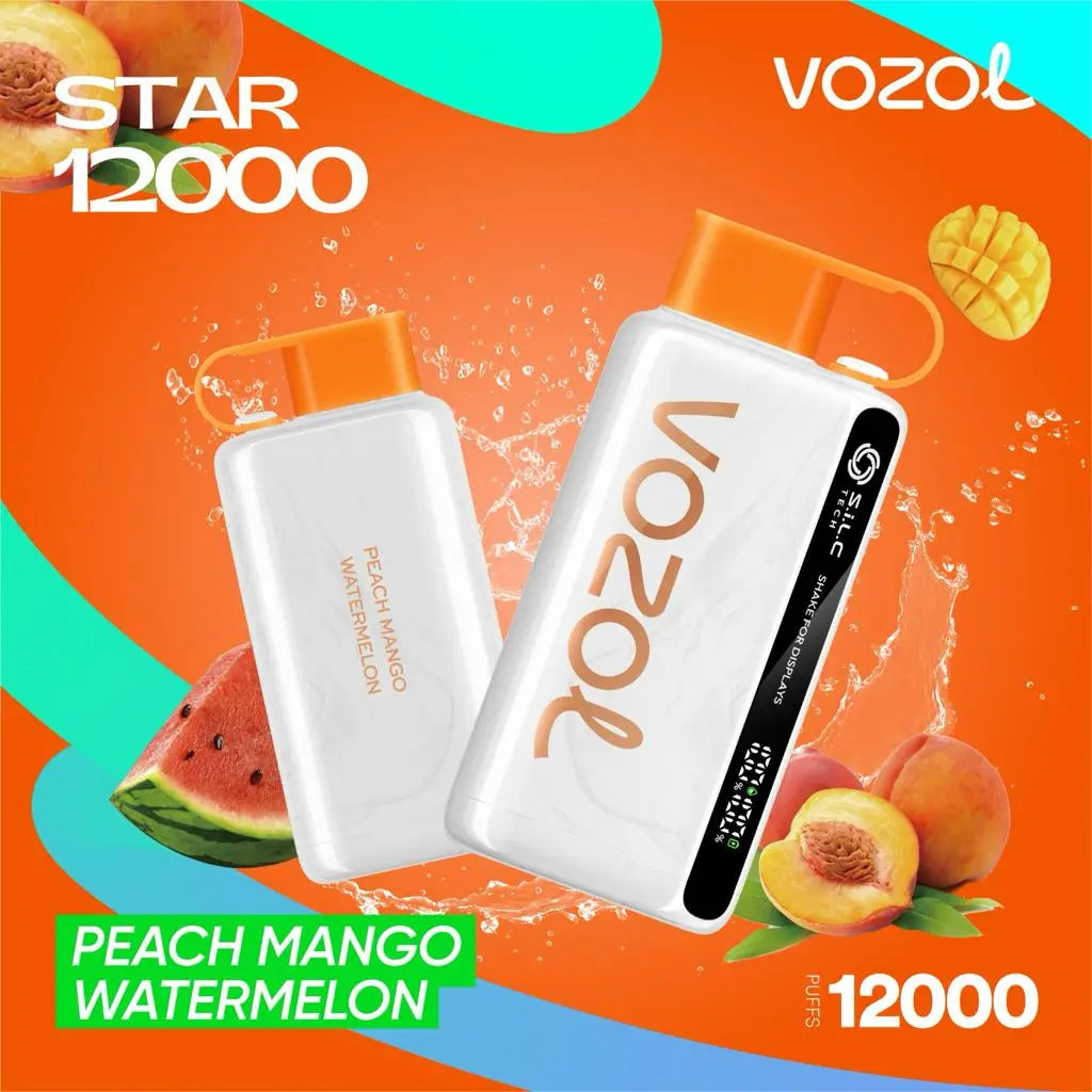 Vozol Star 12000 Puffs Dubai | Buy Rechargeable Snus UAE