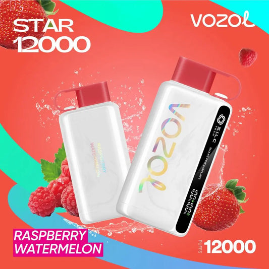 Vozol Star 12000 Puffs Dubai | Buy Rechargeable Snus UAE