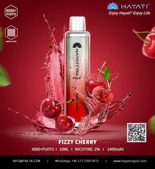 HAYATI Pro Max 4000 Puffs Disposable Vape in UAE