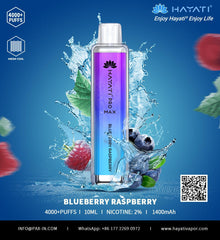 HAYATI Pro Max 4000 Puffs Disposable Vape in UAE