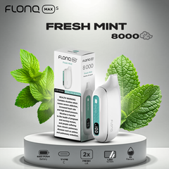 FLONQ MAX S RECHARGEABLE DISPOSABLE VAPES (8,000PUFFS) IN UAE