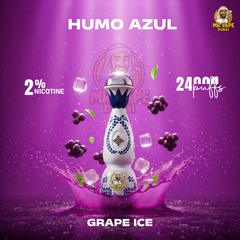 Humo Azul 24000 Puffs Rechargeable Disposable Vape in Dubai