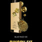 Sikary Fit 12000 Puffs Disposable Vape | Mr. Vape Dubai