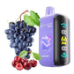 ELFBAR RAYA D3 25000 Puffs Disposable Vape – Buy Online UAE