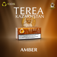 TEREA Kazakhstan Dubai | Buy IQOS ILUMA Sticks UAE