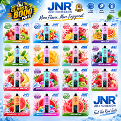 JNR Shisha Classic 8000 Puffs | Vape Dubai UAE
