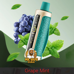 OXBAR Shisha 60000 Puffs DTL 6MG Vape