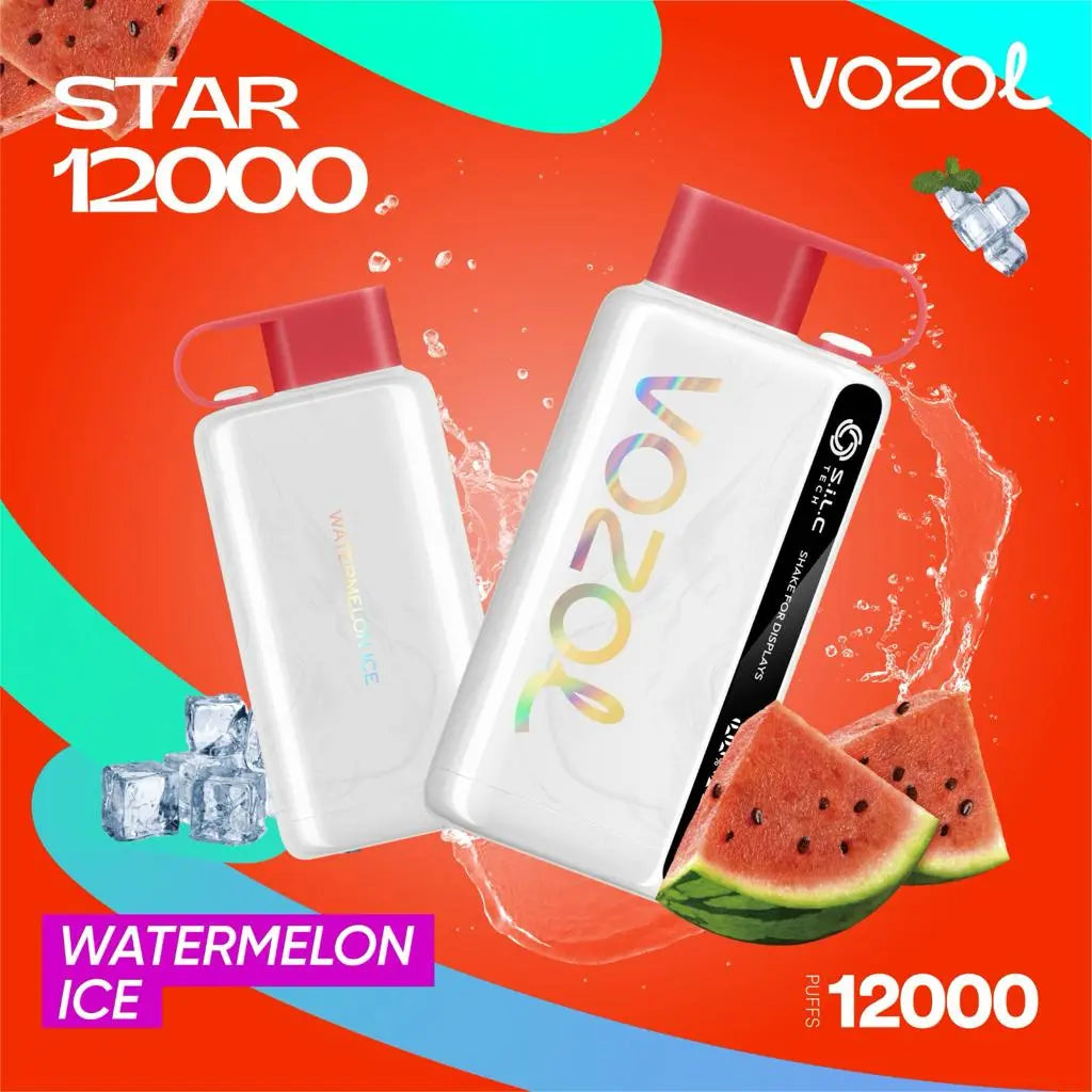 Vozol Star 12000 Puffs Dubai | Buy Rechargeable Snus UAE