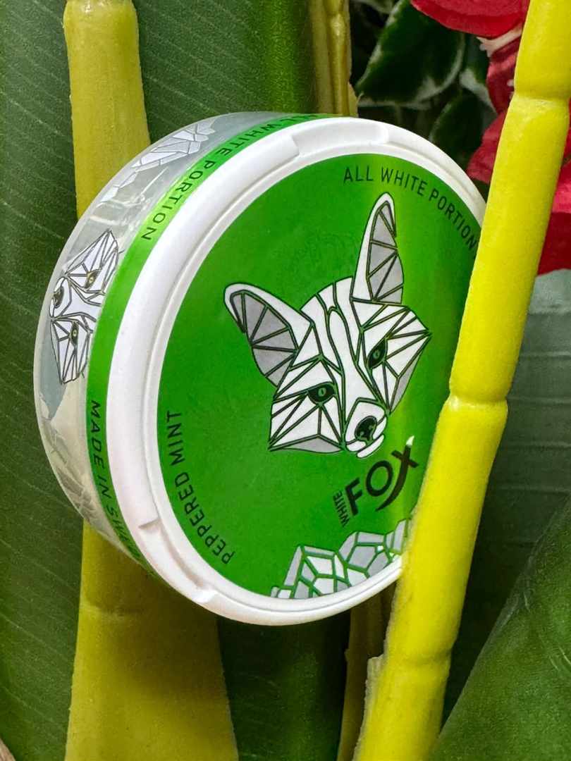 White Fox Nicotine Pouches Dubai | Buy White Snus UAE