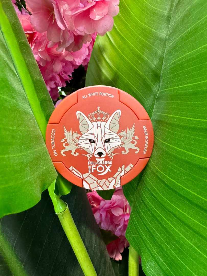 White Fox Nicotine Pouches Dubai | Buy White Snus UAE