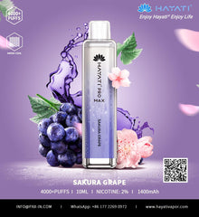 HAYATI Pro Max 4000 Puffs Disposable Vape in UAE