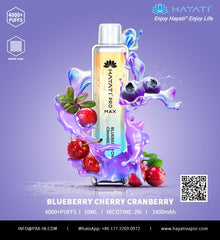 HAYATI Pro Max 4000 Puffs Disposable Vape in UAE