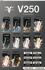 IGNITE V250 25000 Puffs Disposable Vape in UAE
