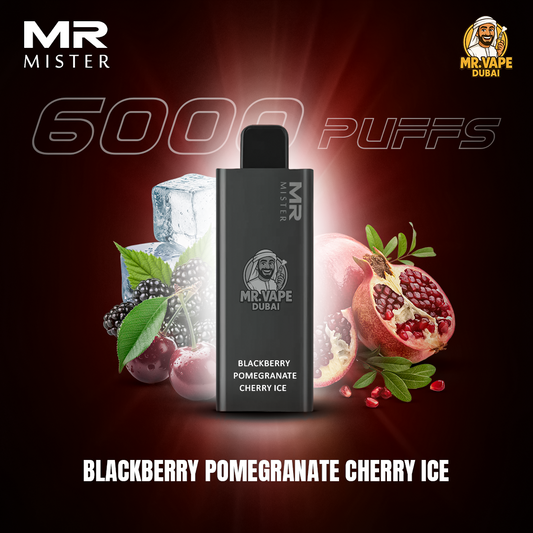 Mr Mister 6000 Puffs Dubai | Buy Rechargeable Disposable UAE