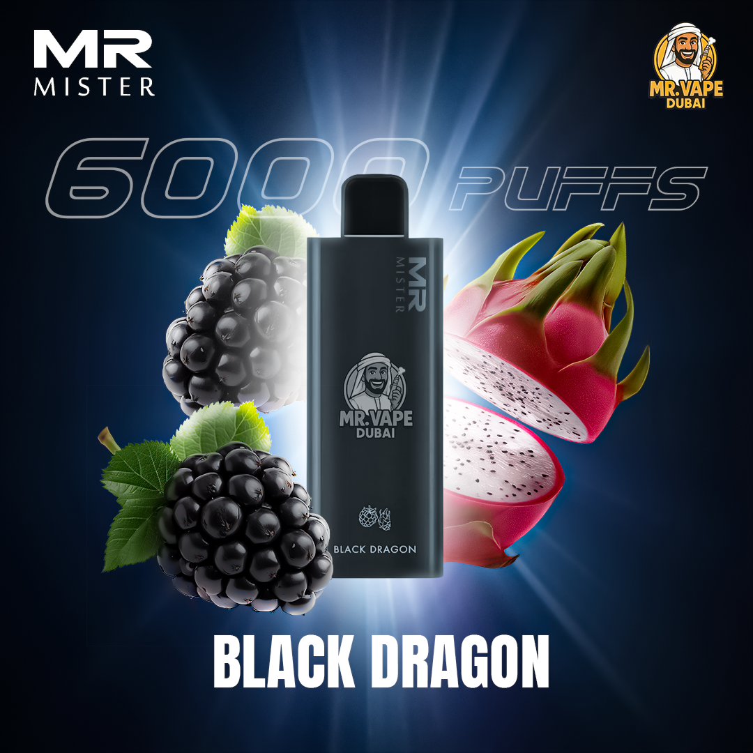 Mr Mister 6000 Puffs Dubai | Buy Rechargeable Disposable UAE