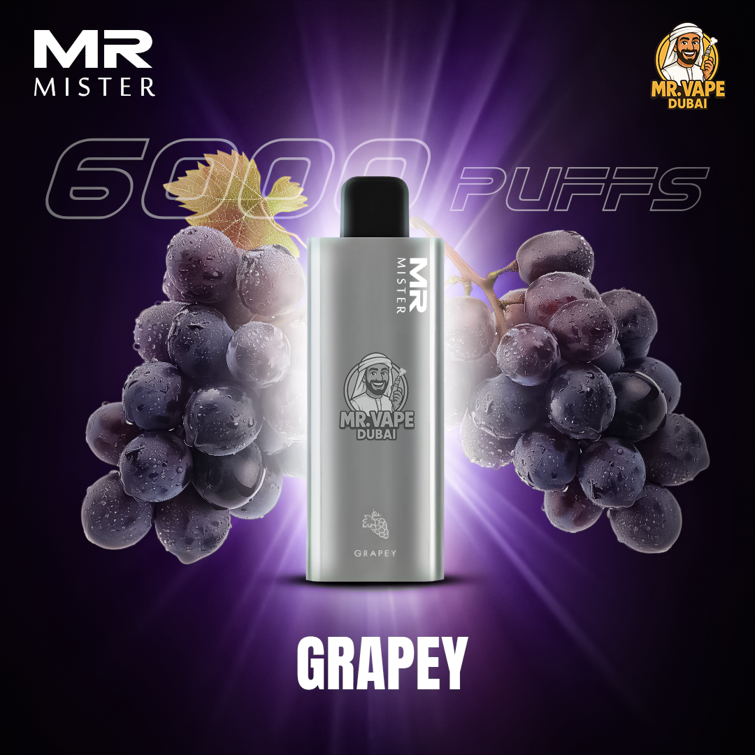 Mr Mister 6000 Puffs Dubai | Buy Rechargeable Disposable UAE