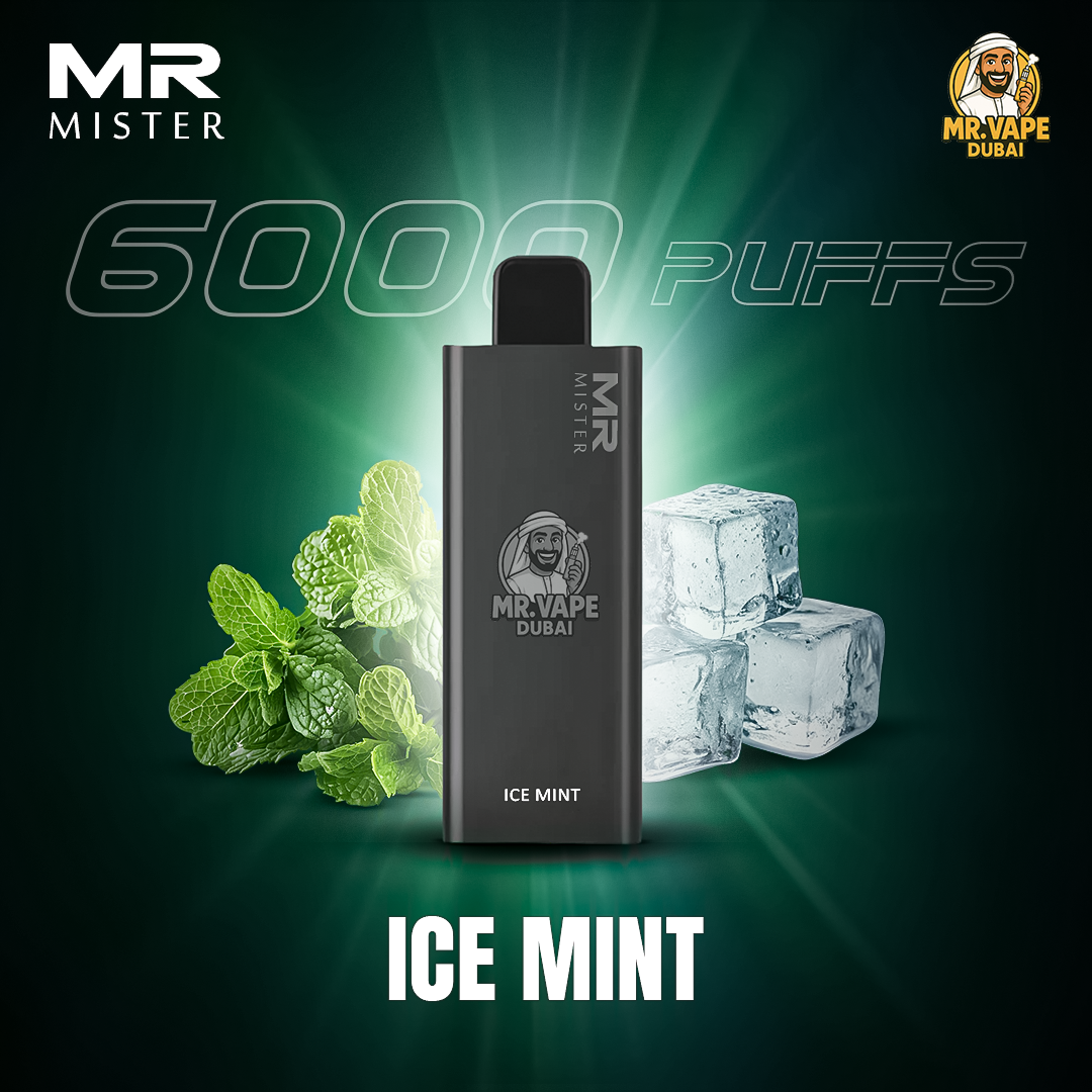 Mr Mister 6000 Puffs Dubai | Buy Rechargeable Disposable UAE