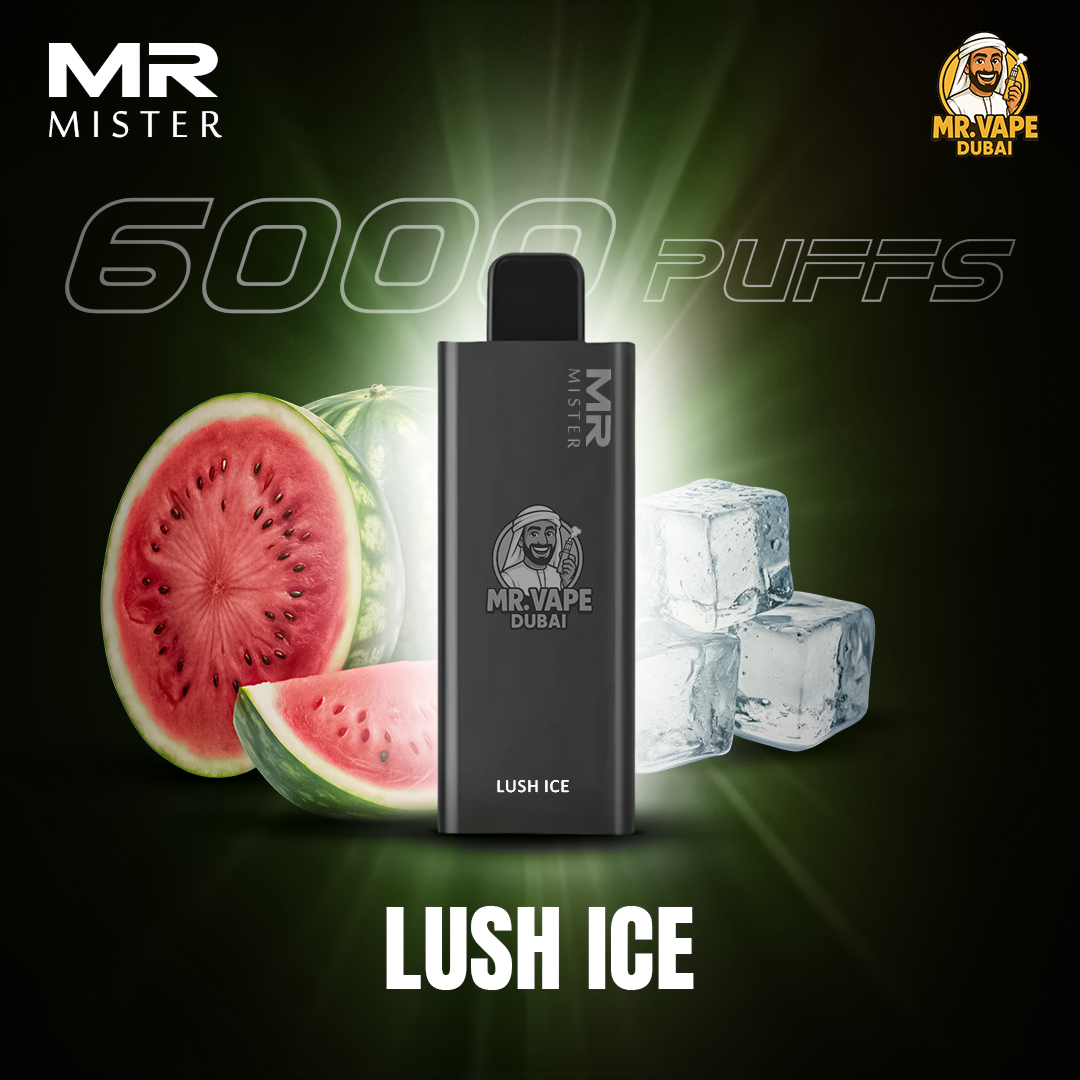 Mr Mister 6000 Puffs Dubai | Buy Rechargeable Disposable UAE