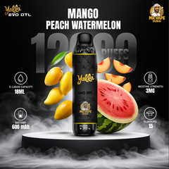 Yalla EVO DTL 0.3mg 12000 Puffs Disposable Vape in UAE